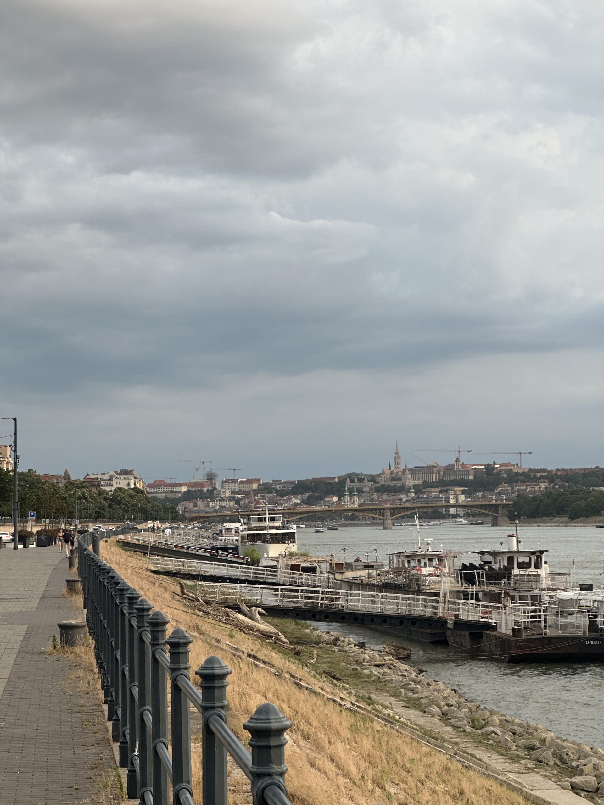 Donau vom Ufer